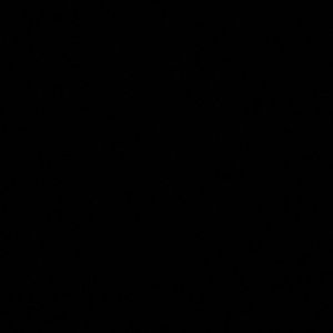 Meet your Posher, Koby